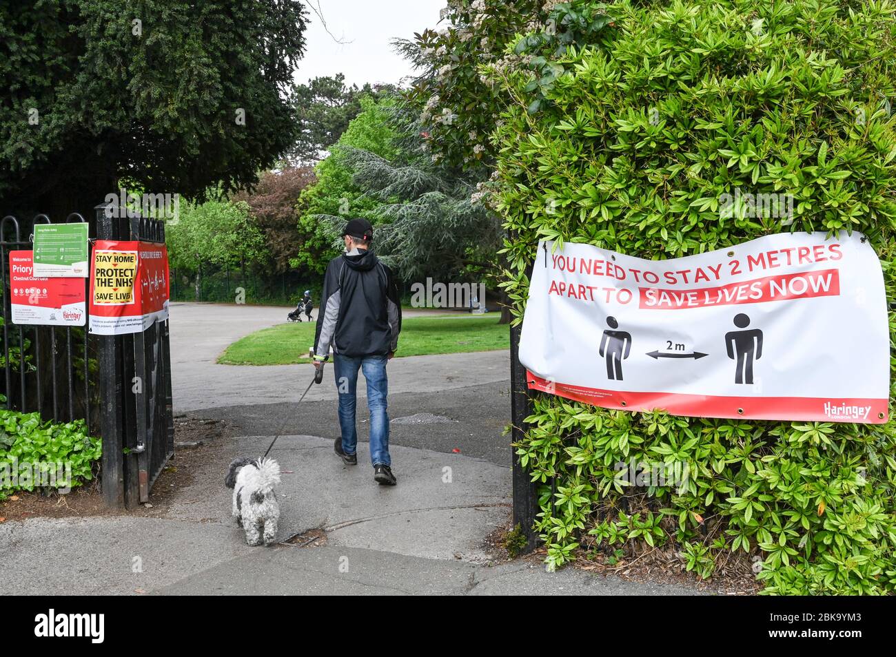A man walking a dog through park gates in London with notices 'Stay home, protect the `NHS' and 'You need to stay 2 meters apart, save lives now' Stock Photo
